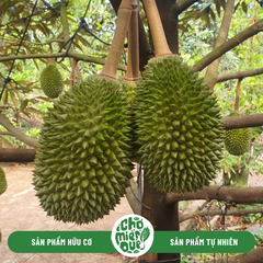 Sầu riêng Musang King - Kg
