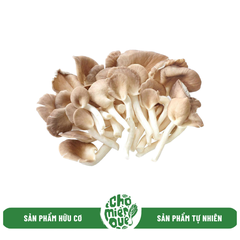 Nấm bào ngư hữu cơ - 500gr