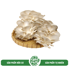 Nấm sò thái hữu cơ - 500gr