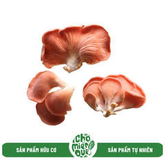 Nấm hồng ngọc hữu cơ - 500gr