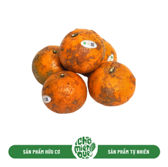 Cam Sành Hữu Cơ Hai Đông Loại 1