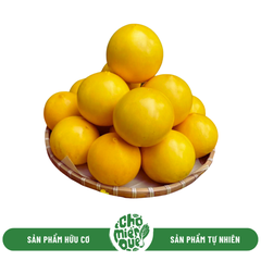 Vú sữa hoàng kim SX hữu cơ - Kg