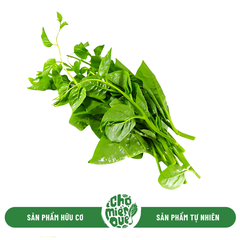 Mồng Tơi hữu cơ - Kg