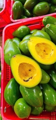 Bơ Tứ Quý Hữu Cơ ĐH