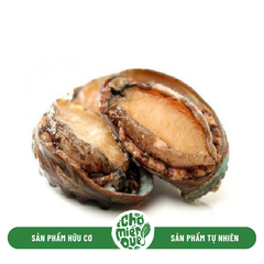 Bào ngư đông lạnh (size 10 - 12c) - 1Kg