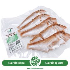 Cá Đổng Côn Đảo - Kg