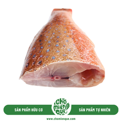 Cá Mú Đỏ Côn Đảo (Trung) - kg
