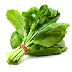 Cải Bó Xôi hữu cơ Mana Food