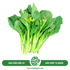 Cải Ngồng hữu cơ - Kg