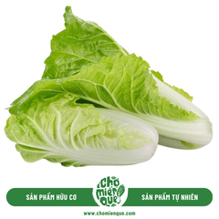 Cải Thảo Dúng hữu cơ - Kg