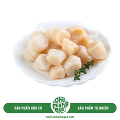 Sò Điệp Cồi Sống Hải Nam - Vỉ