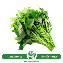 Rau Lang ăn lá hữu cơ - Kg