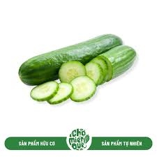 Dưa Leo hữu cơ Mana Food