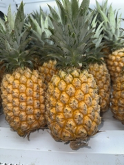 TPO - Dứa Na Queen - Kg