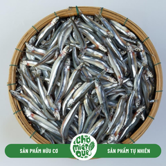 Cá cơm tươi Phú Yên - Kg