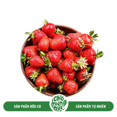 Dâu tây canh tác hữu cơ