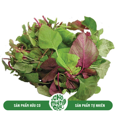 Rau dền Sunny VT - Kg