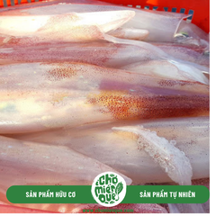 Mực Ống Côn Đảo Dày Cơm (Trung) - (7-12 con/kg)