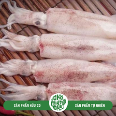 Mực ống Phú Yên - Kg