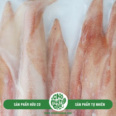 Mực ống size lớn (4-6 con/kg) - Kg