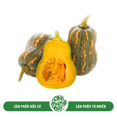 Bí đỏ Sunny VT - Kg