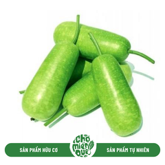Bầu sao Sunny VT - Kg