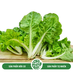 Cải dúng Sunny VT - Kg