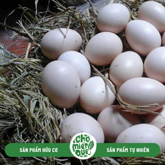 Trứng Gà Đông TảoThả Vườn NNX - Quả