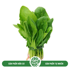 Cải bó xôi Sunny VT - Kg