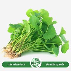 Rau má hữu cơ - Túi 200gr