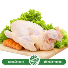 Gà ta thả vườn - Kg