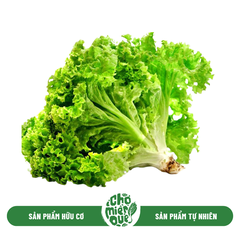 Xà Lách hữu cơ - Kg