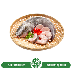 Cá lóc đồng tự nhiên - Kg