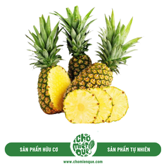 Khóm tắc cậu Sx hữu cơ - Trái