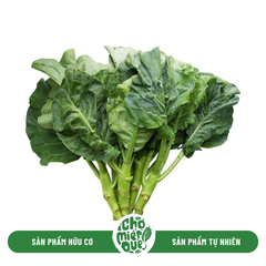 Cải rổ Sunny VT - Kg