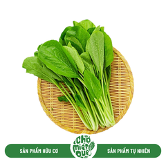 Cải ngọt Sunny VT - Kg