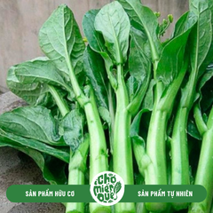 Cải ngồng Sunny VT - Kg