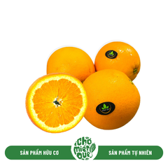 Cam Ai Cập - Kg