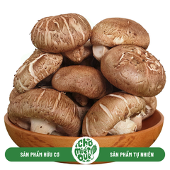 Nấm Hương Tươi - Kg
