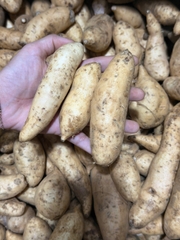 Khoai lang tím úc size nhỏ