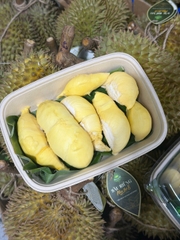 TPO - Cơm sầu mùa thứ 8 - Kg