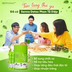 Phan tả diêp Hộp Lớn MP