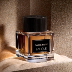 Full 100ml - Nước hoa nam Lalique Ombre Noire EDP