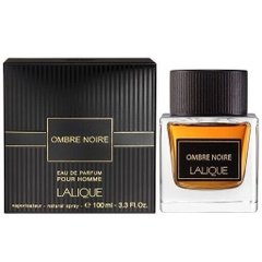 Full 100ml - Nước hoa nam Lalique Ombre Noire EDP