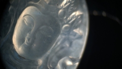 QUÁN ÂM THỦY TINH CHỦNG