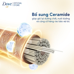 Kem Xả Dove Phục Hồi Hư Tổn - Chai 600G