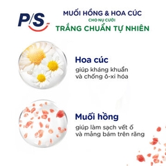 Kem Đánh Răng PS Muối Hồng & Hoa Cúc - Tuýp 230G