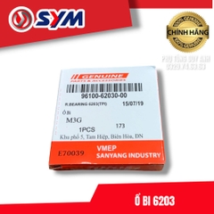 Bi 6203 SYM
