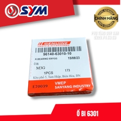 Bi 6301SYM