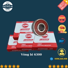 Bi 6300 SYM
